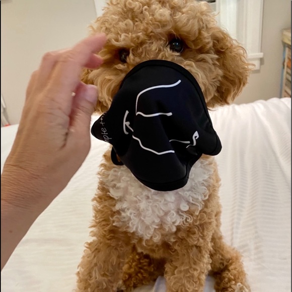 SIMPLE THINGS masks - Picture 4 of 5